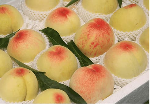 images/1656664376871peach sorting machine.jpg